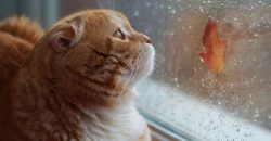 Небольшой дождь: какой будет погода в Днепре 10 августа - рис. 14