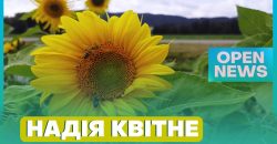 Символ солідарності з Україною: у Норвегії вже третій рік поспіль фермери вирощують соняшники - рис. 11