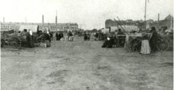 Історія ринку "Озерка": від мальовничого озера до найбільшого базару Дніпра