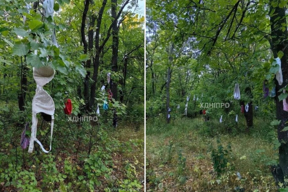 У Дніпрі в Тонельній балці невідомі розвісили спідню білизну