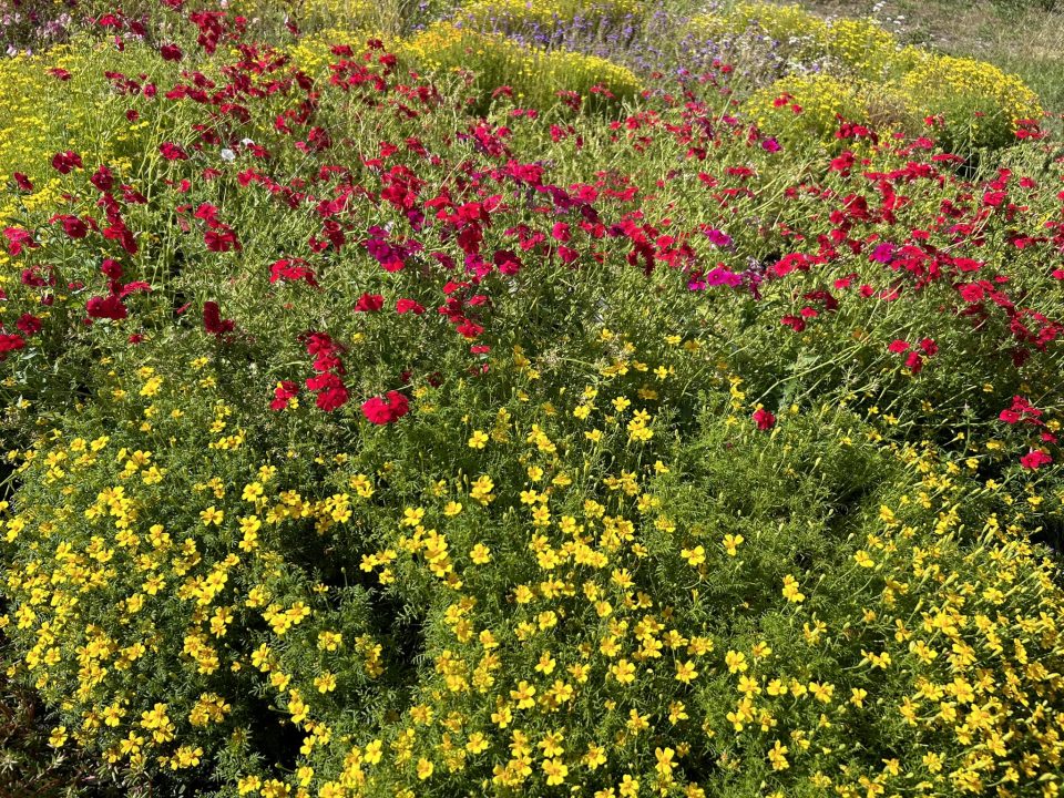 Прогноз погоди у Дніпрі на 11 серпня  - рис. 1