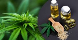 В Україні легалізували медичний канабіс