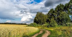 До 28 градусов тепла: какой будет погода в Днепре 15 августа - рис. 9