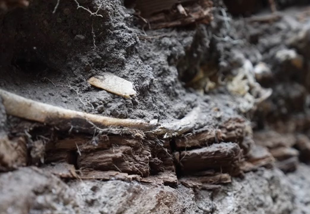 Бойцы 128-й бригады ТРО Днепра во время рытья окопов нашли часть старинной амфоры - рис. 2