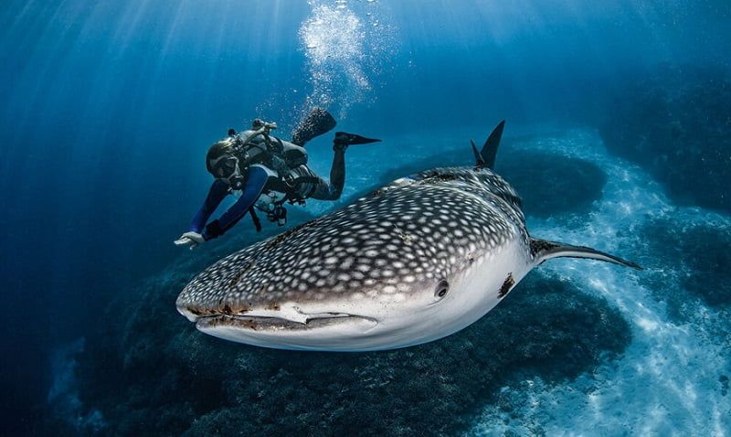 До 33 градусів тепла: якою буде погода у Дніпрі 30 серпня