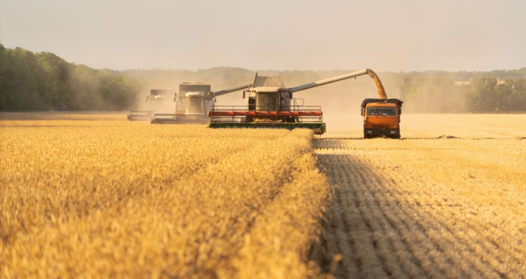 До 28 градусів тепла: якою буде погода у Дніпрі 6 серпня