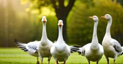 У Дніпрі почали тренувати “бойових гусей” - рис. 13