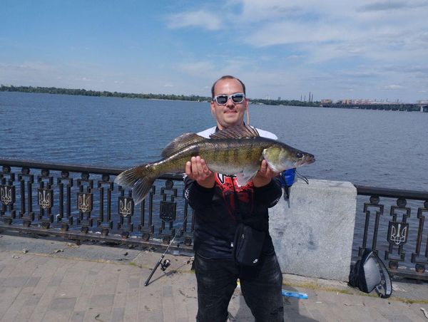 Понад 5 кг: у Дніпрі рибалки спіймали гігантського судака