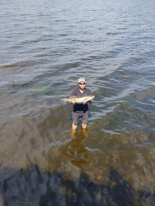 Более 5 кг: в Днепре рыбаки поймали гигантского судака - рис. 1