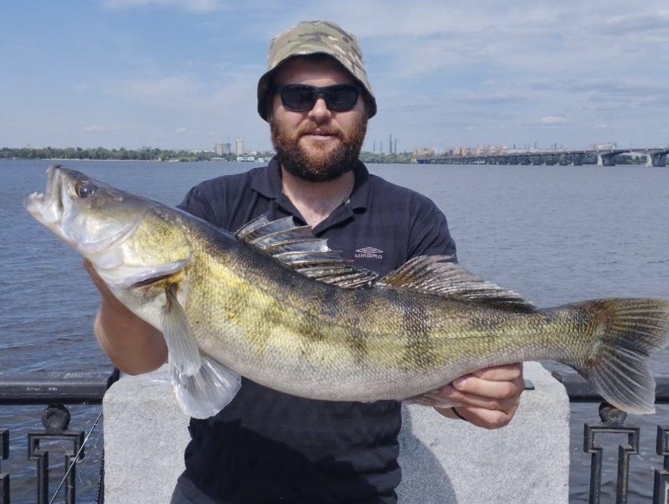 Понад 5 кг: у Дніпрі рибалки спіймали гігантського судака
