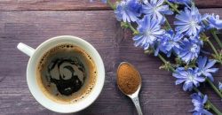 Цикорій: корисні властивості та протипоказання - рис. 7