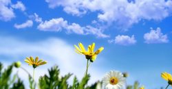 Прогноз погоди у Дніпрі на 13 серпня - рис. 4