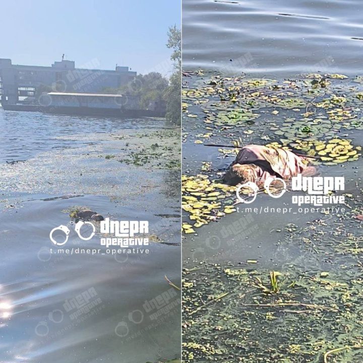 У Дніпрі поблизу річпорту потонула людина - рис. 1