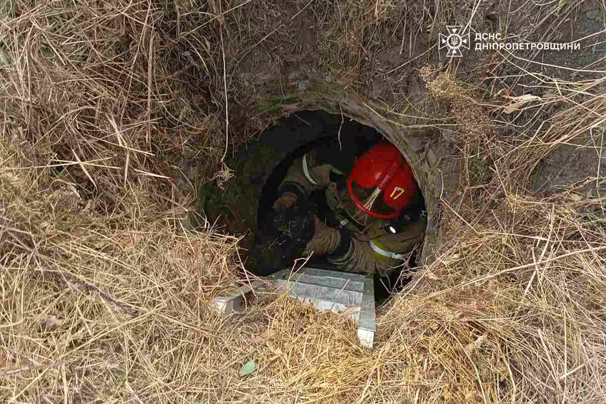 На Днепропетровщине спасли собаку, которая упала в колодец - рис. 1