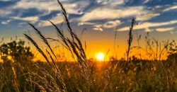 Прогноз погоди у Дніпрі на 11 серпня  - рис. 6