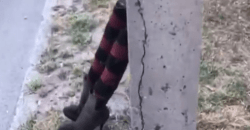 У Дніпрі біля стовпа знайшли "жіночі ноги" - рис. 3