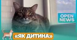 Всесвітній день кішок: що для дніпрян означають їхні улюбленці - рис. 9