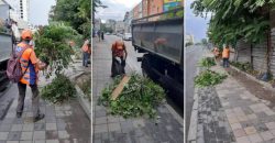 Обірвані дроти та повалені дерева: у Дніпрі усувають наслідки нічної негоди