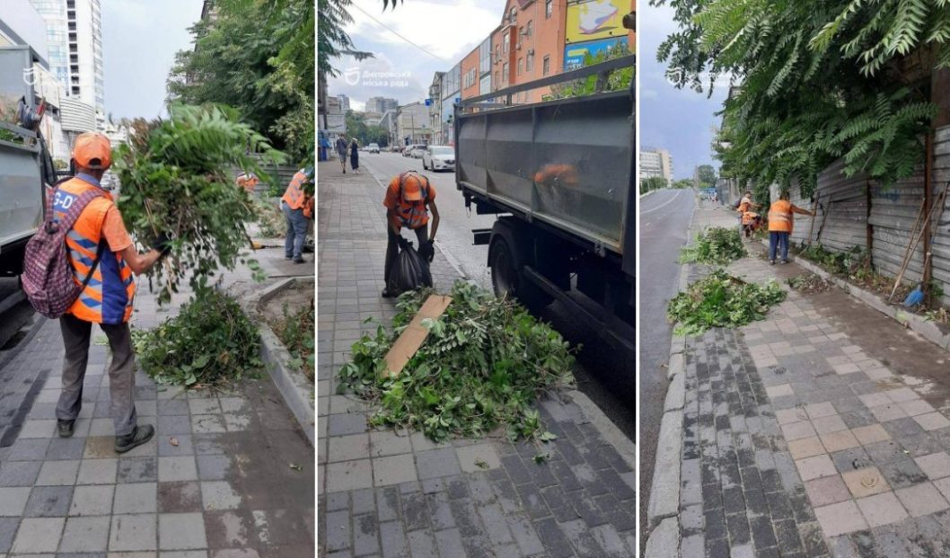 Обірвані дроти та повалені дерева: у Дніпрі усувають наслідки нічної негоди