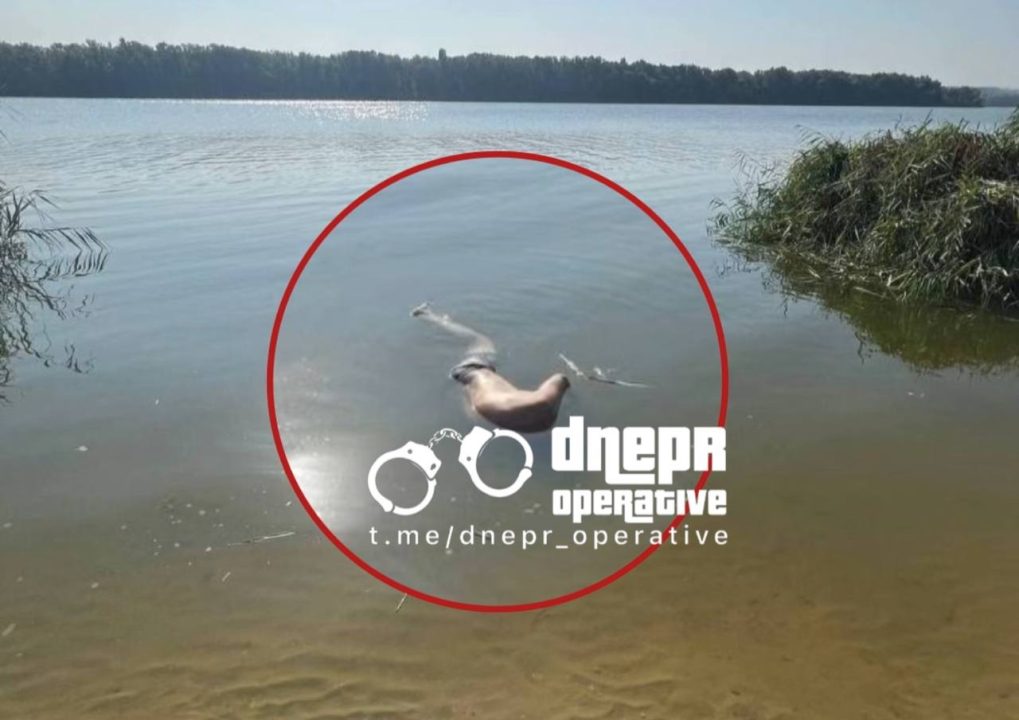 В Днепре на Набережной Победы в реке обнаружили тело утопленника - рис. 1
