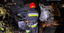 Toyota врезалась в дерево и сгорела дотла: подробности ДТП на Днепропетровщине - рис. 13