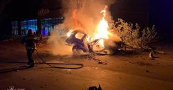 На Днепропетровщине «Toyota» врезалась в дерево и сгорела дотла: есть пострадавшие - рис. 1