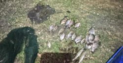 На Днепропетровщине рыбак незаконно выловил рыбы почти на 100 тысяч гривен - рис. 1