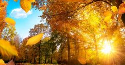 Прогноз погоды в Днепре на 15 сентября - рис. 2