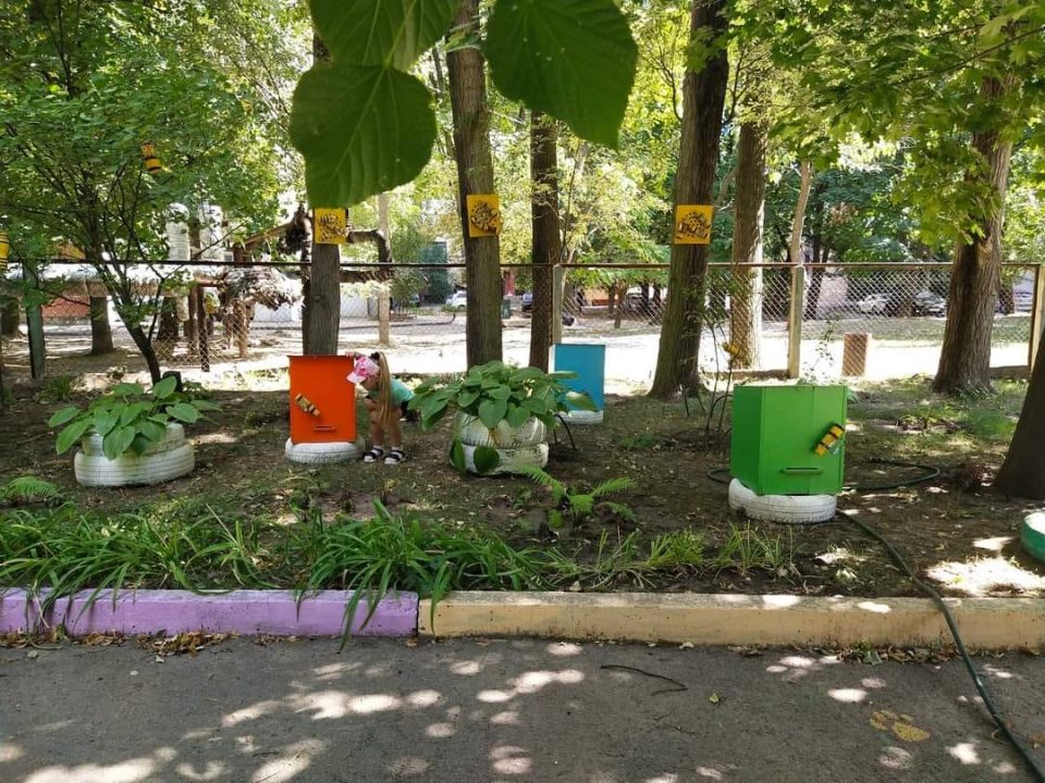 У Дніпрі з'явився новий Ботанічний сад