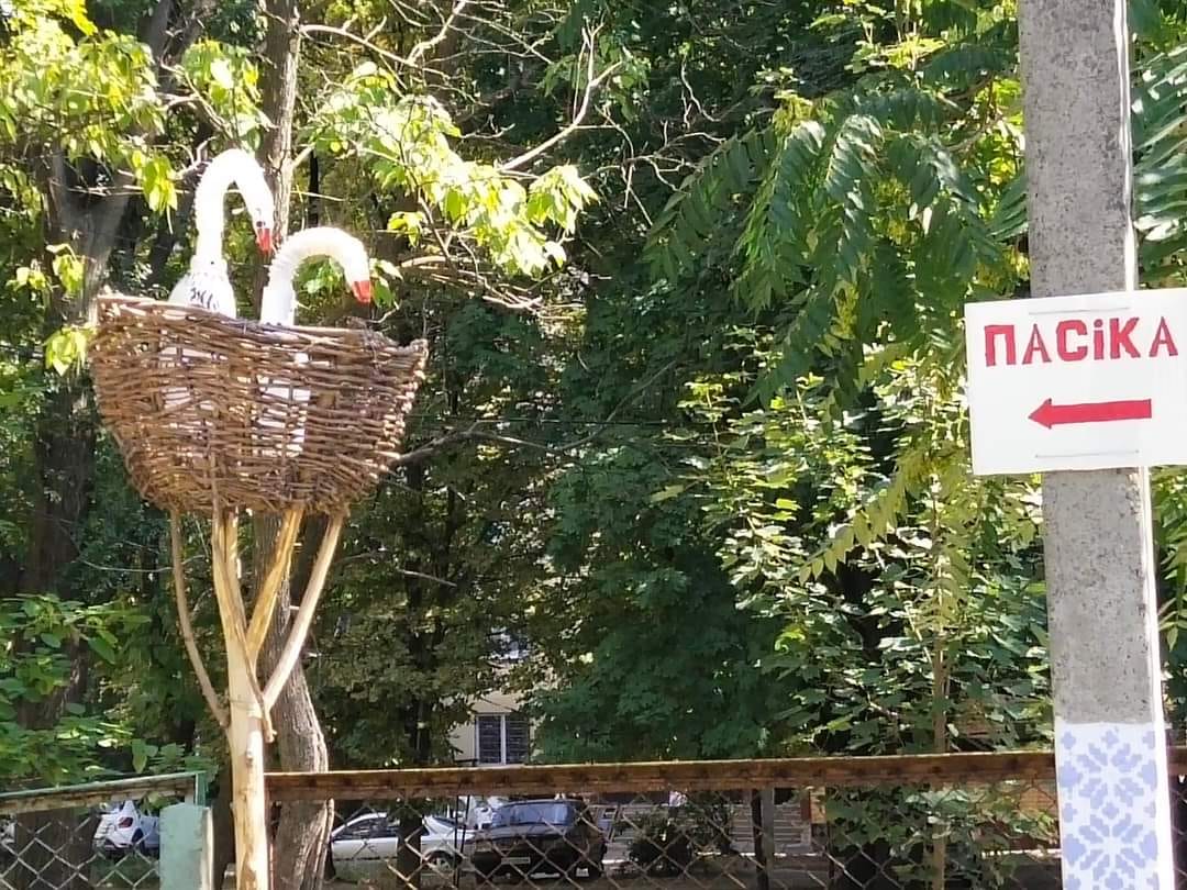 У Дніпрі з'явився новий Ботанічний сад