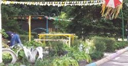 У Дніпрі з'явився новий Ботанічний сад