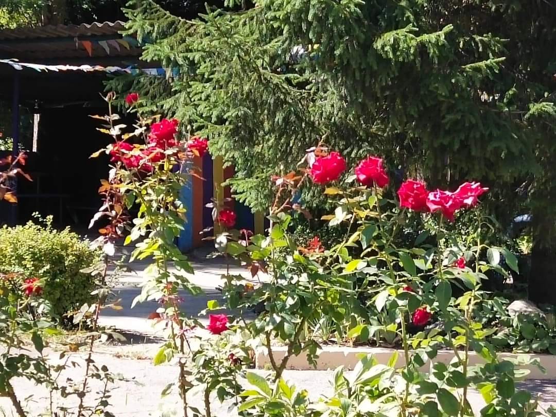 У Дніпрі з'явився новий Ботанічний сад