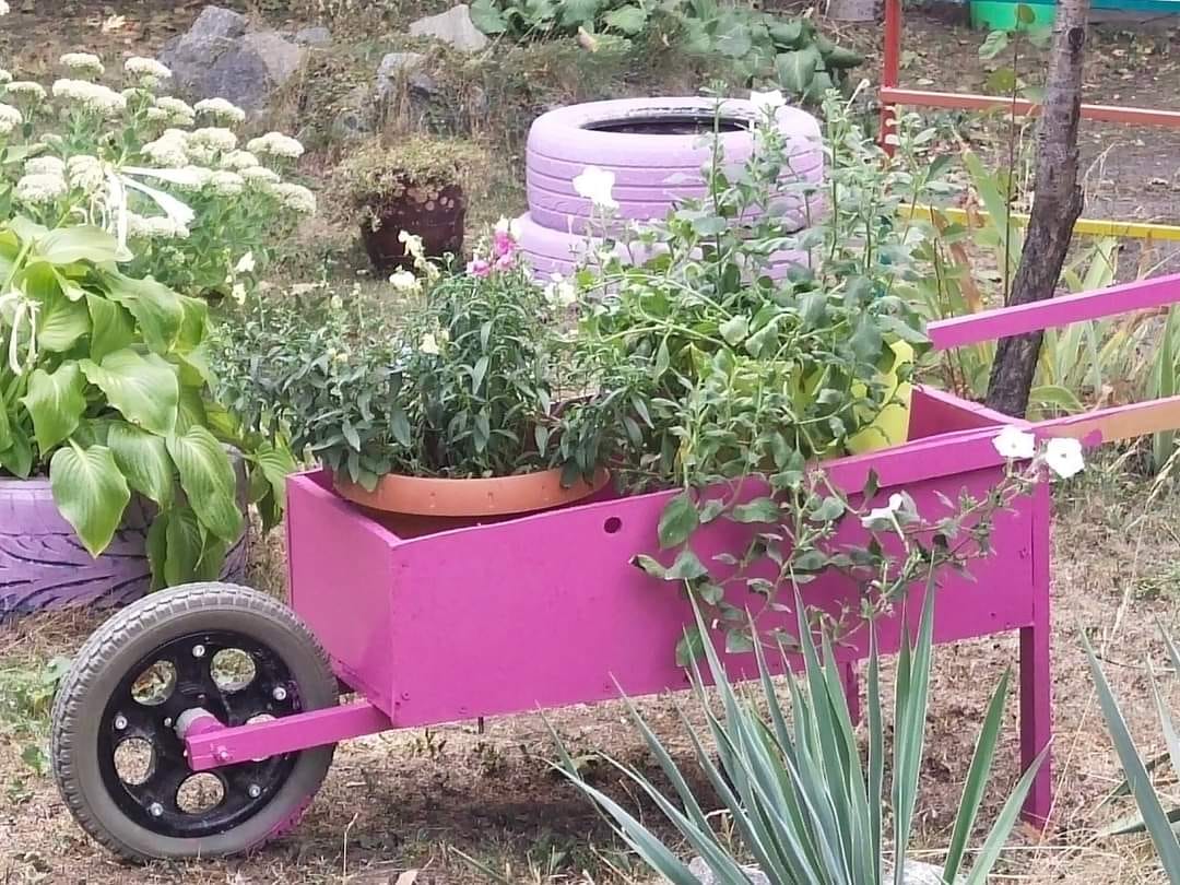 У Дніпрі з'явився новий Ботанічний сад