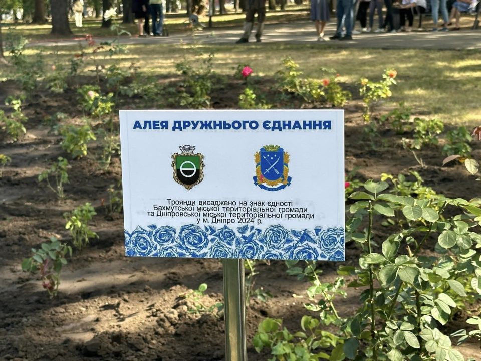 У Дніпрі з’явилася «Алея дружнього єднання»: висаджено 96 кущів троянд