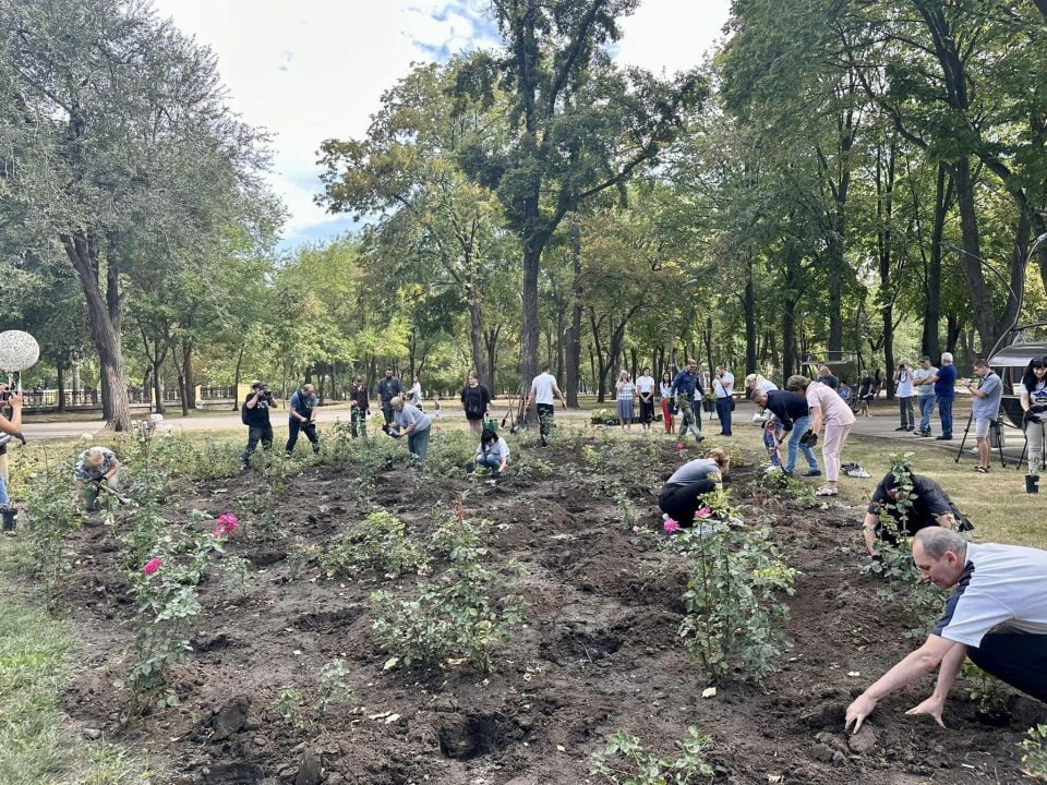 У Дніпрі з’явилася «Алея дружнього єднання»: висаджено 96 кущів троянд