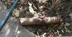 На Дніпропетровщині затримали чоловіка, який забив знайомого до смерті