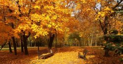 Сильный ветер и +28: прогноз погоды в Днепре на 16 сентября - рис. 13