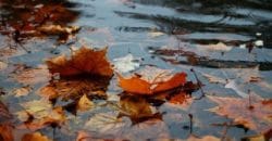 Последний день месяца будет теплым: прогноз погоды в Днепре на 30 сентября - рис. 17