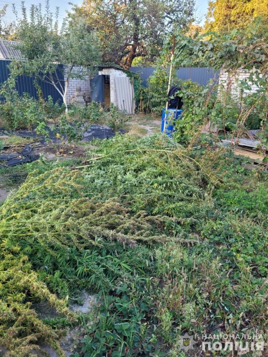 У Дніпрі викрили масштабного наркоторговця з "товарами" на 600 тисяч гривень - рис. 1