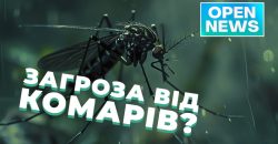 Гарячка Західного Нілу: чи небезпечна хвороба для дніпрян - рис. 3