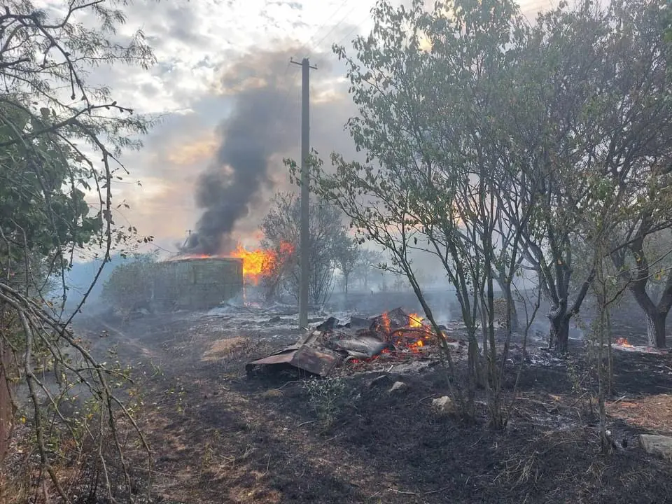 Майже 500 собак були в небезпеці: поблизу Дніпрі пожежа ледь не знищила притулок для тварин - рис. 2