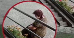 В Днепре женщина второй раз уничтожила цветник у дома на ж/м Покровский - рис. 18