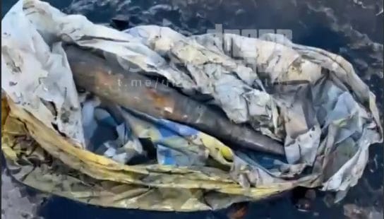 В Днепре на Набережной рыбаки выловили пакет со снарядом - рис. 1