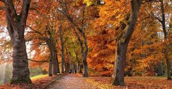 Понедельник будет теплым: прогноз погоды в Днепре на 23 сентября - рис. 2