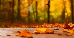 Дождь и +32: прогноз погоды в Днепре на 2 сентября - рис. 11