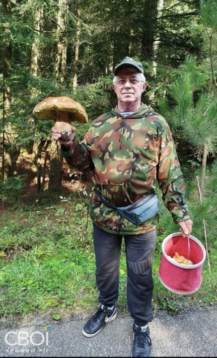 Унікальна знахідка на Дніпропетровщині: білий гриб вагою 1,3 кг