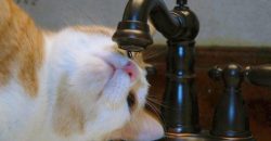 Тимчасове припинення водопостачання 5 вересня у Дніпрі: деталі