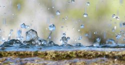 Невеликий дощ: якою буде погода у Дніпрі 3 вересня