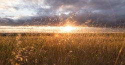 Без осадков: какой будет погода в Днепре 26 сентября - рис. 18