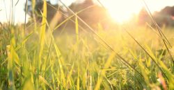 Солнечно: какой будет погода в Днепре 21 сентября - рис. 19